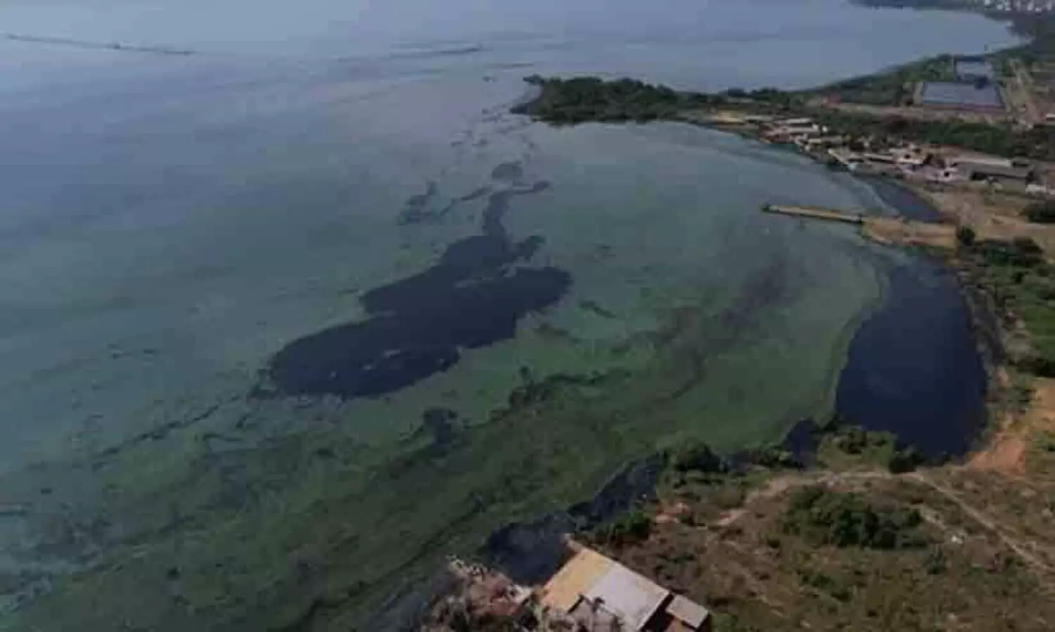 മുടിയുപയോഗിച്ച് മലിനീകരണം തടയാൻ സാധിക്കുമോ​? കഴിയു​മെന്ന് വെനിസ്വേലൻ ആക്ടിവിസ്റ്റ് സെലീൻ എസ്ട്രാക്ക്