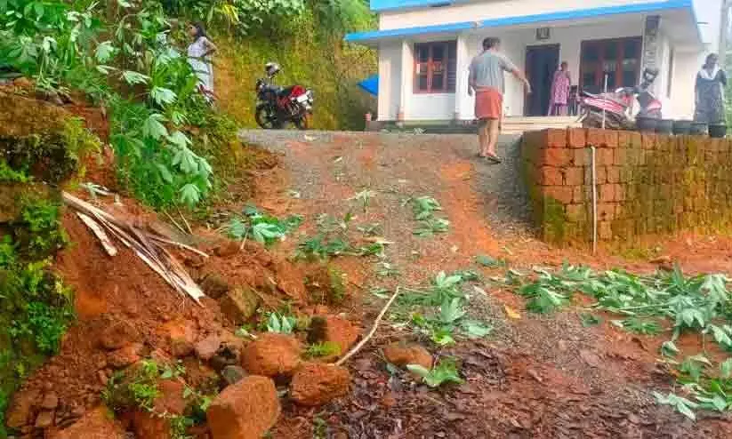 വാളുമുക്കിൽ കാട്ട് കൊമ്പന്റെ വിളയാട്ടം വാളുമുക്കിൽ കാട്ട് കൊമ്പന്റെ വിളയാട്ടം