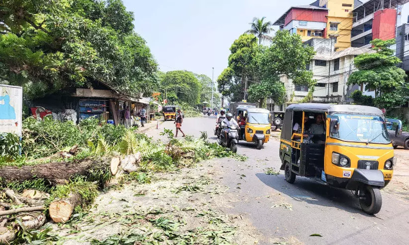 alappuzha court bridge alappuzha court bridge
