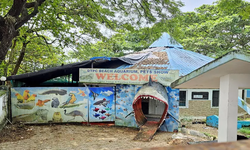 DTPC Beach Aquarium at Kozhikode Beach