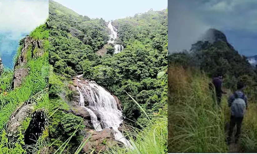 മുതുകോരമലയിൽ കുടുങ്ങിയ യുവാക്കളെ മണിക്കൂറുകൾ നീണ്ട പരിശ്രമത്തിൽ രക്ഷപ്പെടുത്തി മുതുകോരമലയിൽ കുടുങ്ങിയ യുവാക്കളെ മണിക്കൂറുകൾ നീണ്ട പരിശ്രമത്തിൽ രക്ഷപ്പെടുത്തി