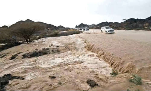 ഫു​ജൈ​റ​യി​ലും റാ​സ​ൽ​ഖൈ​മ​യി​ലും ക​ന​ത്ത മ​ഴ