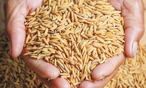 നെ​ല്ല് സം​ഭ​ര​ണം