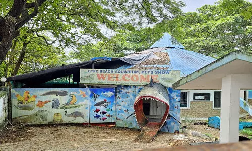 DTPC Beach Aquarium at Kozhikode Beach