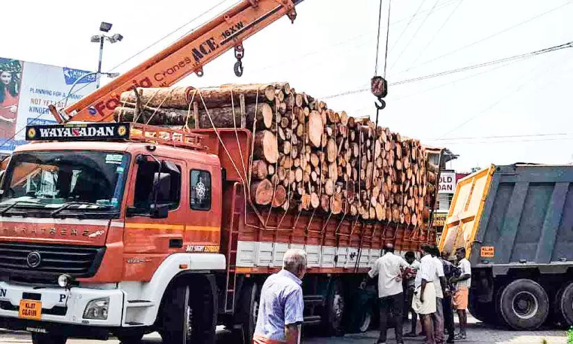തടി ലോറിയുടെ ടയര്‍ പൊട്ടി; ഔഷധി ജങ്ഷന്‍ മണിക്കൂറുകള്‍ ഗതാഗതക്കുരുക്കിലായി