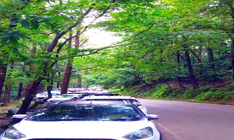 അ​തി​ര​പ്പി​ള്ളി​യി​ൽ പ​രി​ധി​വി​ട്ട് വ​ഴി​യോ​ര പാ​ർ​ക്കി​ങ്​