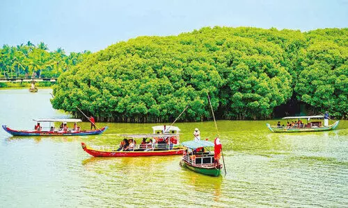 ക​മ്യൂ​ണി​റ്റി റി​സ​ർ​വി​ൽ ജ​ല​ഘോ​ഷ​യാ​ത്ര ന​ട​ത്തി ചെ​റു​തോ​ണി​ക​ൾ