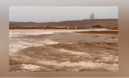 എ​ട്ടാം ദി​ന​വും മ​ഴ, ദു​ബൈ​യി​ല​ട​ക്കം പൊ​ടി​ക്കാ​റ്റ്​