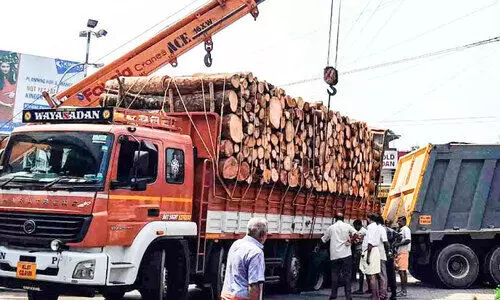 തടി ലോറിയുടെ ടയര്‍ പൊട്ടി; ഔഷധി ജങ്ഷന്‍ മണിക്കൂറുകള്‍ ഗതാഗതക്കുരുക്കിലായി