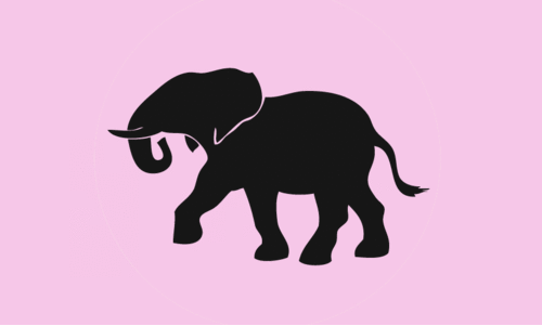 വാളുമുക്കിൽ കാട്ടാന വിളയാട്ടം വാളുമുക്കിൽ കാട്ടാന വിളയാട്ടം