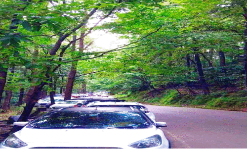 അ​തി​ര​പ്പി​ള്ളി​യി​ൽ പ​രി​ധി​വി​ട്ട് വ​ഴി​യോ​ര പാ​ർ​ക്കി​ങ്​