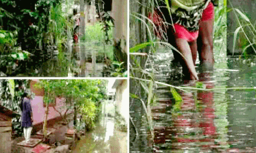 ദുരിതക്കയത്തിൽ ഒരുവാതിൽകോട്ടയിലെ കുടുംബങ്ങൾ ദുരിതക്കയത്തിൽ ഒരുവാതിൽകോട്ടയിലെ കുടുംബങ്ങൾ