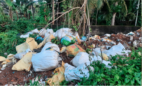 മാലിന്യം തോട്ടിൽ തള്ളിയ വാഹന ഉടമക്ക് 20000 രൂപ പിഴ മാലിന്യം തോട്ടിൽ തള്ളിയ വാഹന ഉടമക്ക് 20000 രൂപ പിഴ