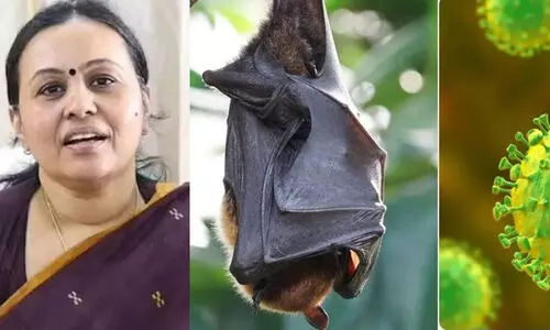 വയനാട്ടിൽ വവ്വാലുകളിൽ നിപ വൈറസ് സാന്നിധ്യമെന്ന് ഐ.സി.എം.ആർ സ്ഥിരീകരണം; ജാഗ്രത പാലിക്കണമെന്ന് ആരോഗ്യ മന്ത്രി വയനാട്ടിൽ വവ്വാലുകളിൽ നിപ വൈറസ് സാന്നിധ്യമെന്ന് ഐ.സി.എം.ആർ സ്ഥിരീകരണം; ജാഗ്രത പാലിക്കണമെന്ന് ആരോഗ്യ മന്ത്രി