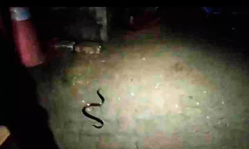 ഫോർട്ട്കൊച്ചി കടപ്പുറം ഒരുമാസമായി കൂരിരുട്ടിൽ ഫോർട്ട്കൊച്ചി കടപ്പുറം ഒരുമാസമായി കൂരിരുട്ടിൽ