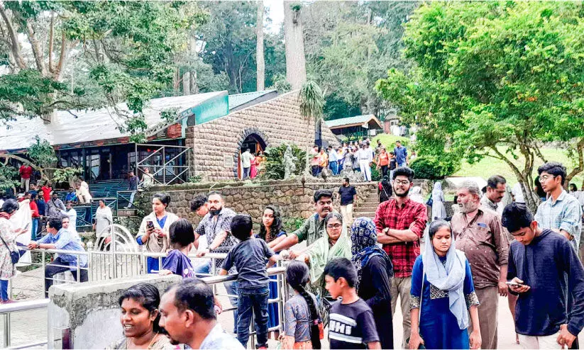 തേക്കടിയിൽ വൻ തിരക്ക്; ബോട്ട് ടിക്കറ്റില്ലാതെ സഞ്ചാരികൾ, കരിഞ്ചന്ത സജീവം