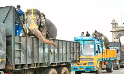 ദ​സ​റ യാ​ത്ര​ക്ക് മു​മ്പേ ഗ​ജ​വീ​ര​ന്മാ​രു​ടെ ദ​ർ​ഗ സ​ന്ദ​ർ​ശ​നം