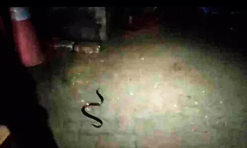 ഫോർട്ട്​കൊച്ചി കടപ്പുറം ഒരുമാസമായി കൂരിരുട്ടിൽ