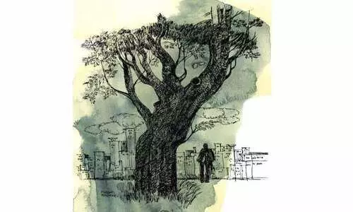 കല്ലീവല്ലി