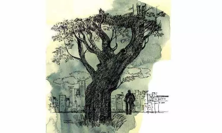 കല്ലീവല്ലി