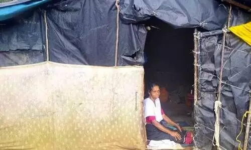 അ​രി​പ്പ സ​മ​ര​ഭൂ​മി​യി​ലെ കു​ടി​ലി​ല്‍ വാ​ർ​ധ​ക്യ​ത്തി​ന്‍റെ അ​വ​ശ​ത​യി​ല്‍ ക​ഴി​യു​ന്ന സ്വ​ര്‍ണ​മ്മ