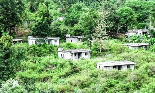 ലക്ഷങ്ങൾ മുടക്കി നിർമിച്ച 130ഓളം വീട്​ കാടുകയറി നശിക്കുന്നു
