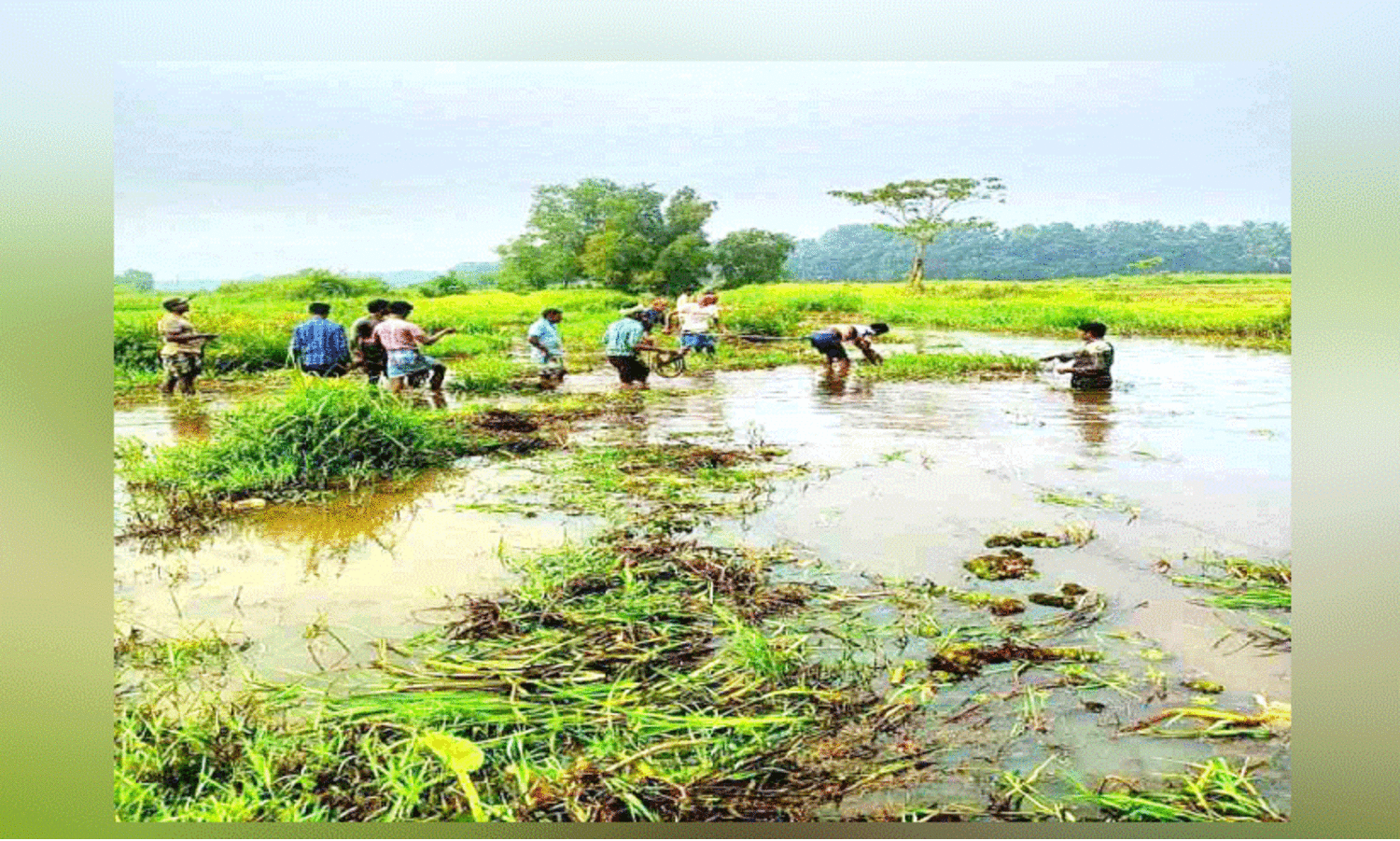 ഒ​ഴു​ക്ക് നി​ല​ച്ച വാ​ളൂ​ർ തോ​ട് ക​ർ​ഷ​ക​ർ ശു​ചീ​ക​രി​ക്കു​ന്നു