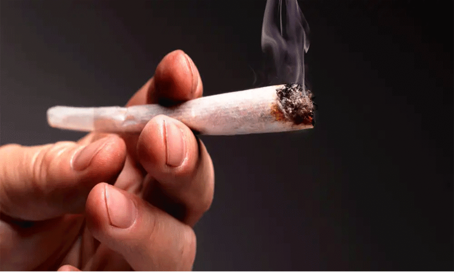 ട്രെ​യി​ൻ​വ​ഴി ക​ഞ്ചാ​വ് ഒ​ഴു​കു​ന്നു; മ​റ​യാ​ക്കു​ന്ന​ത് അ​ന്ത​ർ​സം​സ്ഥാ​ന തൊ​ഴി​ലാ​ളി​ക​ളെ