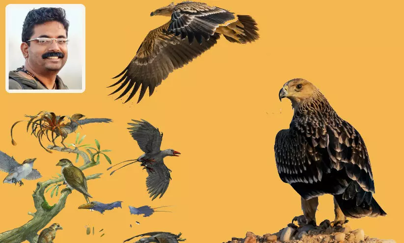 കു​റു​ക്ക​നെ വ​രെ റാ​ഞ്ചും രാ​ജാ​പ്പ​രു​ന്ത്