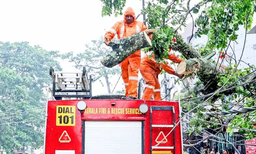 കെ.​കെ റോ​ഡി​ലേ​ക്ക്​ വീ​ണ മ​ര​ത്തി​ന്‍റെ ശി​ഖ​ര​ങ്ങ​ൾ അ​ഗ്നി​ര​ക്ഷാ​സേ​ന അം​ഗ​ങ്ങ​ൾ  മു​റി​ച്ചു​മാ​റ്റു​ന്നു