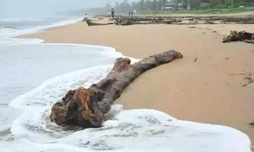വളപട്ടണം പുഴയോരത്ത് മണലൂറ്റ് വ്യാപകം