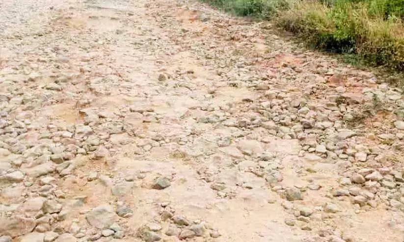 തകർന്ന ഇലവീഴാപ്പൂഞ്ചിറ റോഡ് (ഫയൽ ചിത്രം) തകർന്ന ഇലവീഴാപ്പൂഞ്ചിറ റോഡ് (ഫയൽ ചിത്രം)