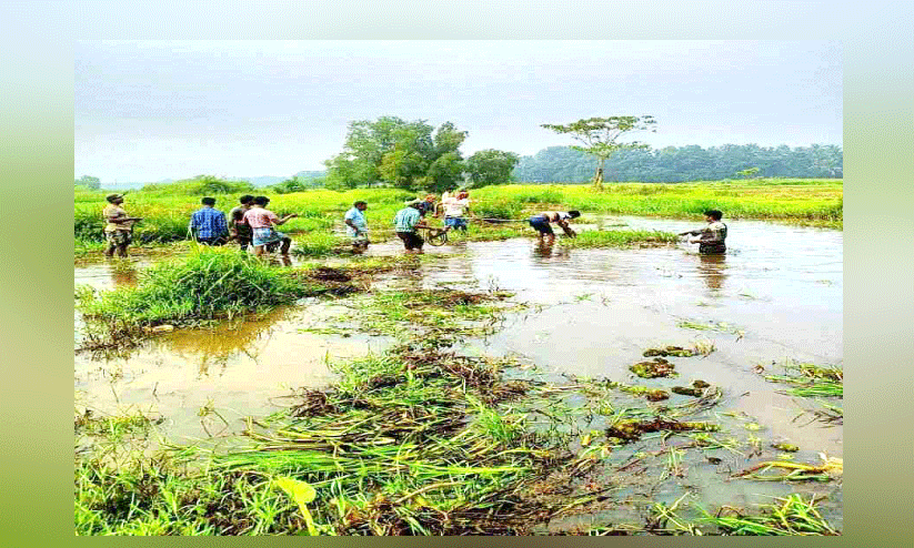 ഒഴുക്ക് നിലച്ച വാളൂർ തോട് കർഷകർ ശുചീകരിക്കുന്നു ഒഴുക്ക് നിലച്ച വാളൂർ തോട് കർഷകർ ശുചീകരിക്കുന്നു