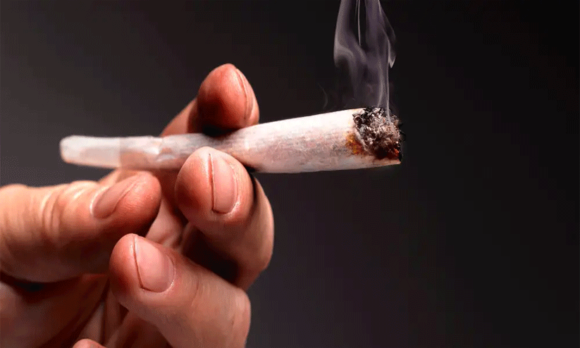 ട്രെയിൻവഴി കഞ്ചാവ് ഒഴുകുന്നു; മറയാക്കുന്നത് അന്തർസംസ്ഥാന തൊഴിലാളികളെ ട്രെയിൻവഴി കഞ്ചാവ് ഒഴുകുന്നു; മറയാക്കുന്നത് അന്തർസംസ്ഥാന തൊഴിലാളികളെ