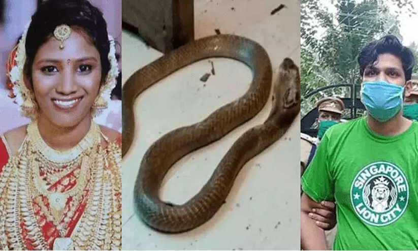 ഉത്രവധം: സ്ത്രീധന പീഡന കേസിൽ സൂരജിന് ജാമ്യം