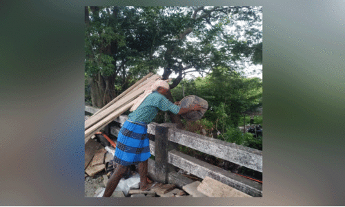 കല്ലായിപ്പുഴയിലേക്ക് മാലിന്യം കൊണ്ടിടുന്നു കല്ലായിപ്പുഴയിലേക്ക് മാലിന്യം കൊണ്ടിടുന്നു