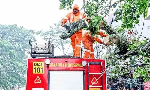 കെ.​കെ റോ​ഡി​ലേ​ക്ക്​ വീ​ണ മ​ര​ത്തി​ന്‍റെ ശി​ഖ​ര​ങ്ങ​ൾ അ​ഗ്നി​ര​ക്ഷാ​സേ​ന അം​ഗ​ങ്ങ​ൾ  മു​റി​ച്ചു​മാ​റ്റു​ന്നു