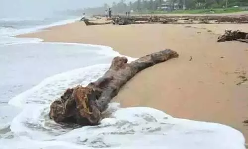 വളപട്ടണം പുഴയോരത്ത് മണലൂറ്റ് വ്യാപകം വളപട്ടണം പുഴയോരത്ത് മണലൂറ്റ് വ്യാപകം