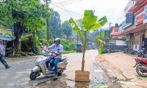 റോ​ഡി​ലെ കു​ഴി​യി​ൽ വാ​ഴ ന​ട്ട് നാ​ട്ടു​കാ​ർ പ്ര​തി​ഷേ​ധി​ച്ച​പ്പോ​ൾ