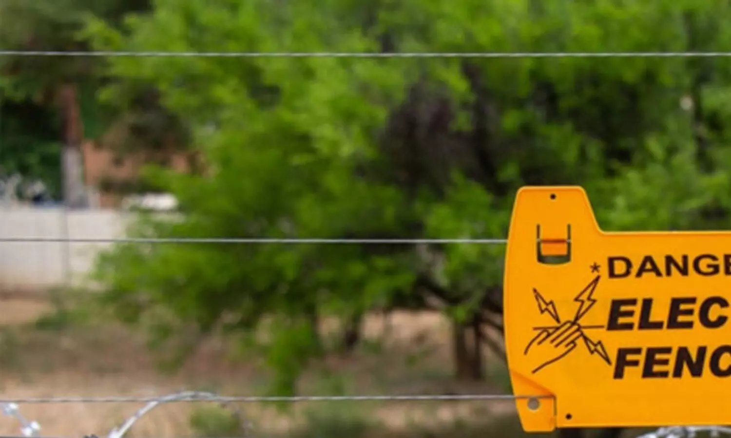 കൃഷിയിടങ്ങളിലെ അനധികൃത ഇലക്ട്രിക് ഫെൻസിങ് കണ്ടെത്താൻ പരിശോധന