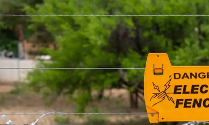 കൃഷിയിടങ്ങളിലെ അനധികൃത ഇലക്ട്രിക് ഫെൻസിങ് കണ്ടെത്താൻ പരിശോധന കൃഷിയിടങ്ങളിലെ അനധികൃത ഇലക്ട്രിക് ഫെൻസിങ് കണ്ടെത്താൻ പരിശോധന