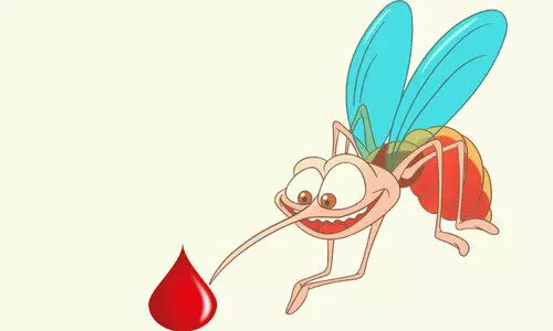 മൂളിപ്പറന്ന് ഡെങ്കി