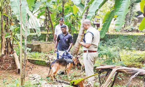 മഞ്ചേരിയിൽ വീണ്ടും മോഷണം; അടച്ചിട്ട വീട്ടിൽനിന്ന് 20 പവൻ കവർന്നു