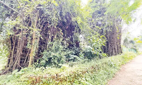 എന്തുകൊണ്ട് കരേക്കാടിന് ആരോഗ്യ ഉപകേന്ദ്രമില്ല? എന്തുകൊണ്ട് കരേക്കാടിന് ആരോഗ്യ ഉപകേന്ദ്രമില്ല?