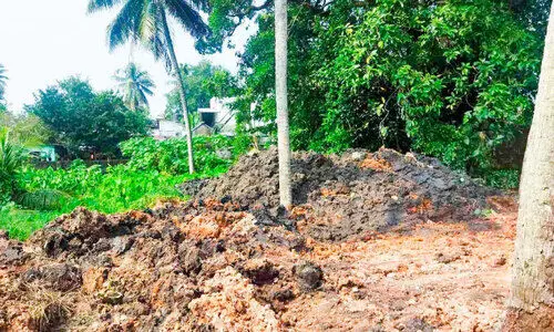 അരൂരിൽ; തണ്ണീർത്തടങ്ങളും നെൽപാടങ്ങളും നികത്തുന്നു