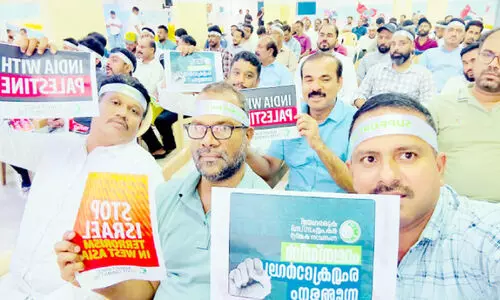 Crowd with Palestine solidarity placards