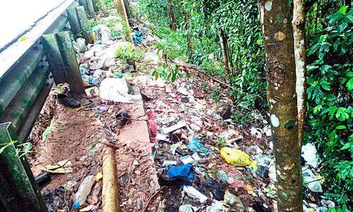 കുപ്പത്തൊട്ടിയായി മലങ്കര ജലാശയം; നടപടി എടുക്കാതെ അധികൃതർ