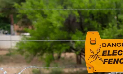 കൃഷിയിടങ്ങളിലെ അനധികൃത ഇലക്ട്രിക് ഫെൻസിങ് കണ്ടെത്താൻ പരിശോധന