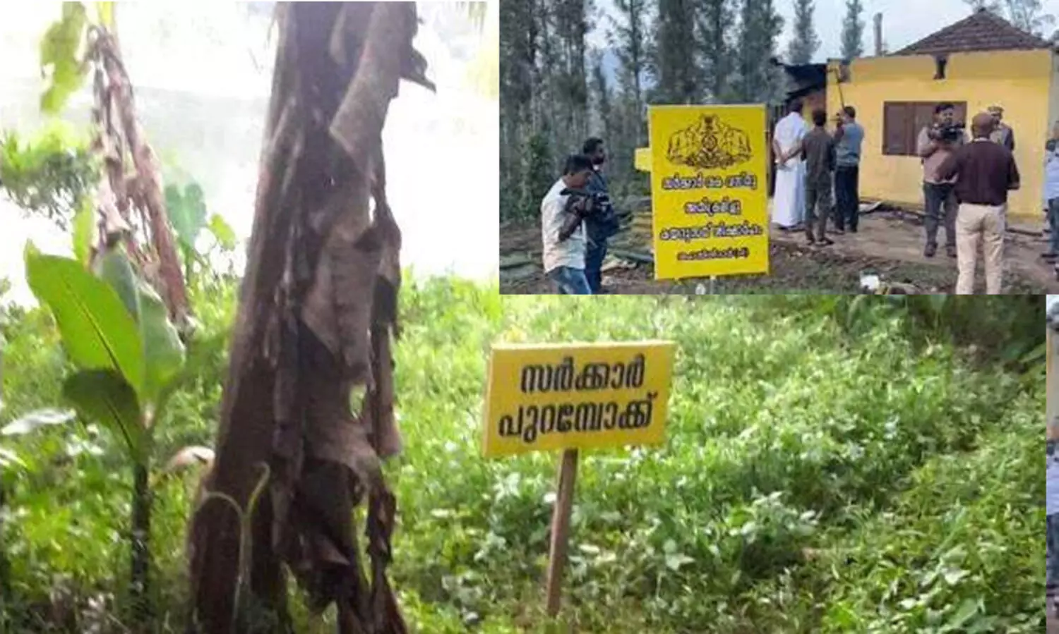 ഇടുക്കിയിൽ 330 ഭൂമി കൈയേറ്റ കേസുകളിൽ നടപടി ആരംഭിച്ചുവെന്ന് കലക്ടർ