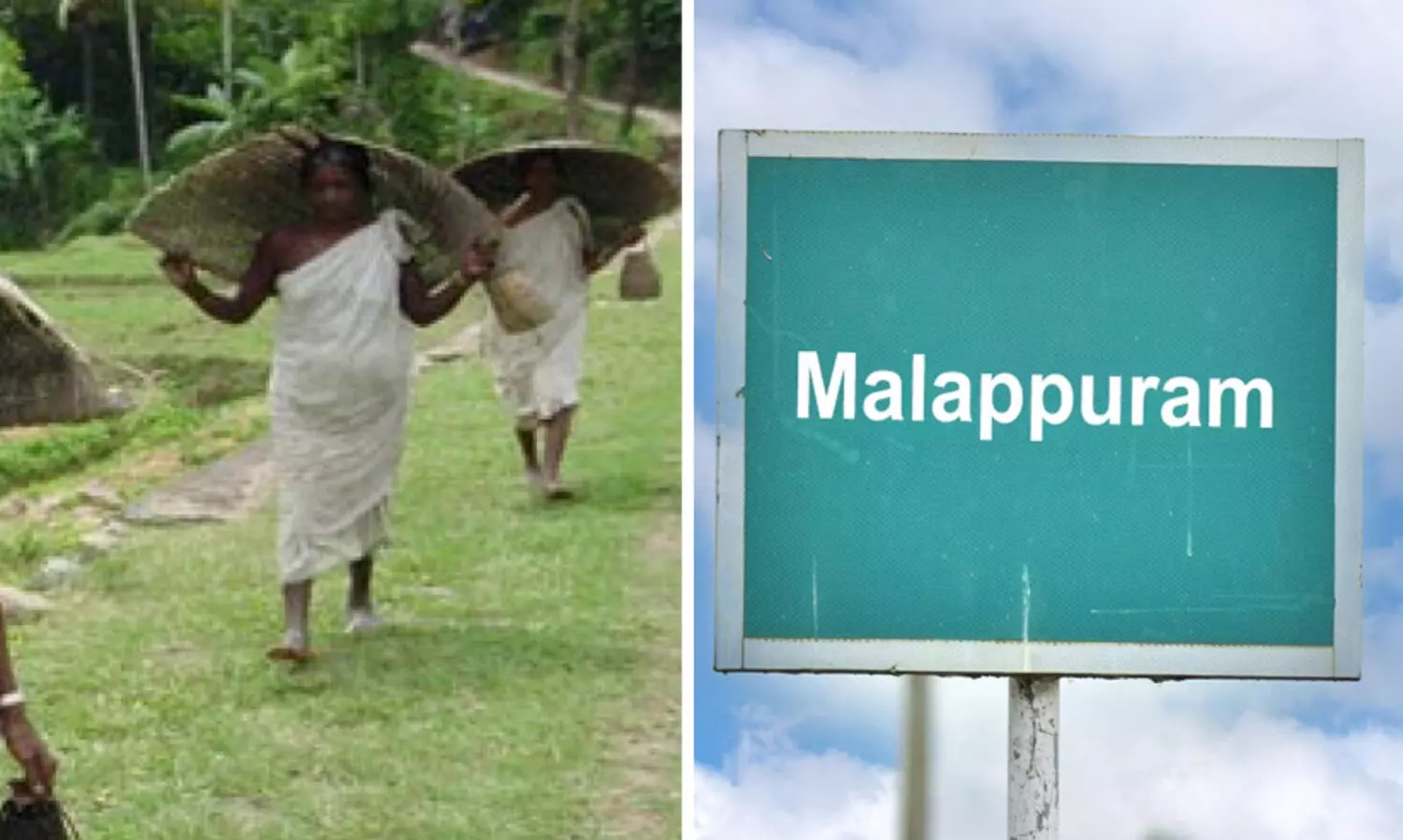 സാമ്പത്തിക സ്ഥിതിവിവരക്കണക്ക് മികച്ച വകുപ്പ്; മലപ്പുറം മികച്ച ജില്ല